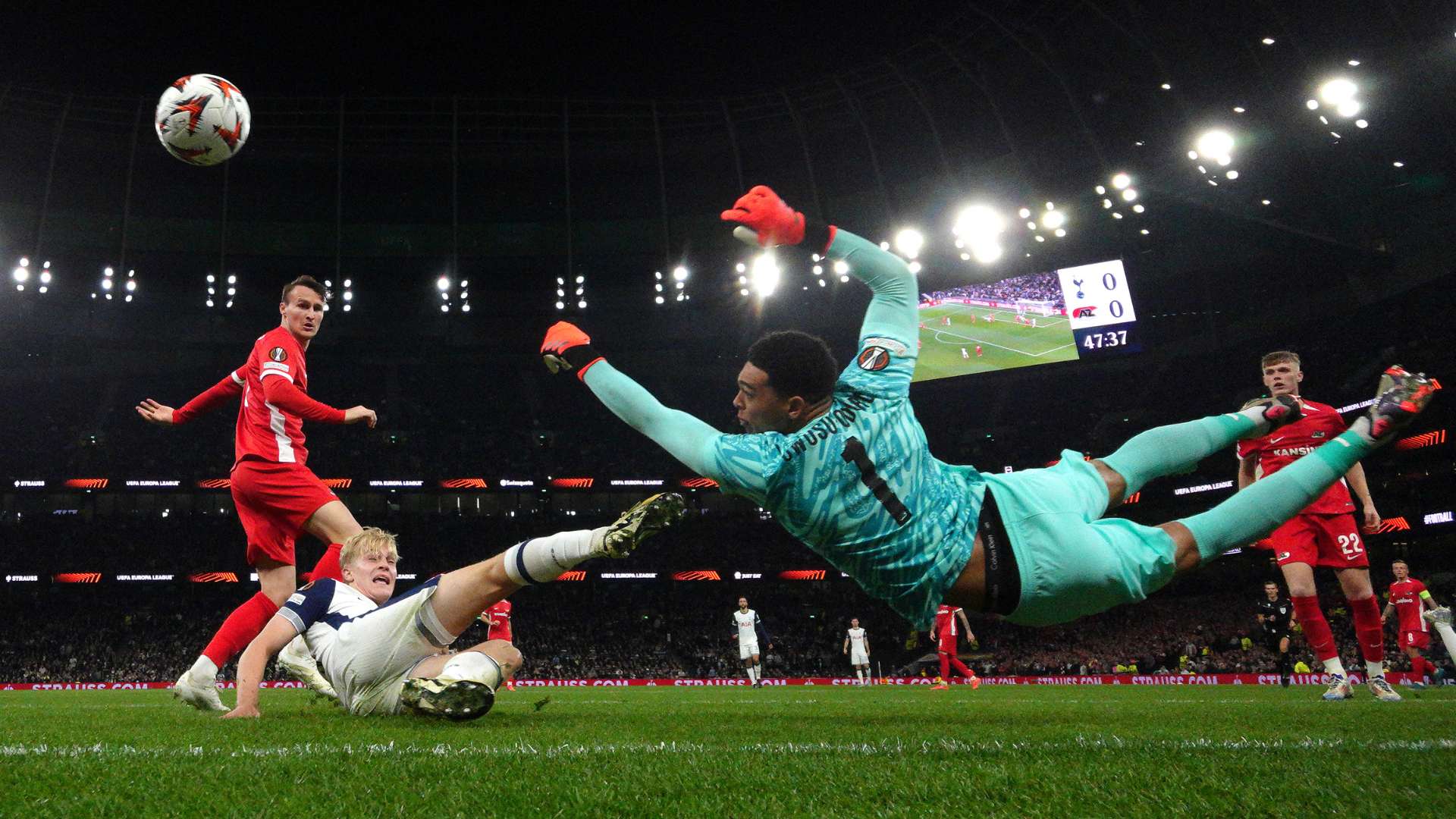 活力与稳健 活力与稳健